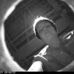 Roberta Lima, Displacement - Spy Camera, 2012, Video on DVD, B&W, 2’24’’. Courtesy Otto Zoo_3