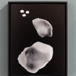 Meris Angioletti, Ca, 2017-2018, gelatin silver photograms transferred on photo paper, 18x24 cm, ed. 1+2AP. Courtesy Otto Zoo. Ph. Ugo Dalla Porta