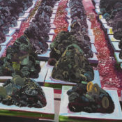 Artificial reef, 2009, oil in canvas,190 x 200 cm
